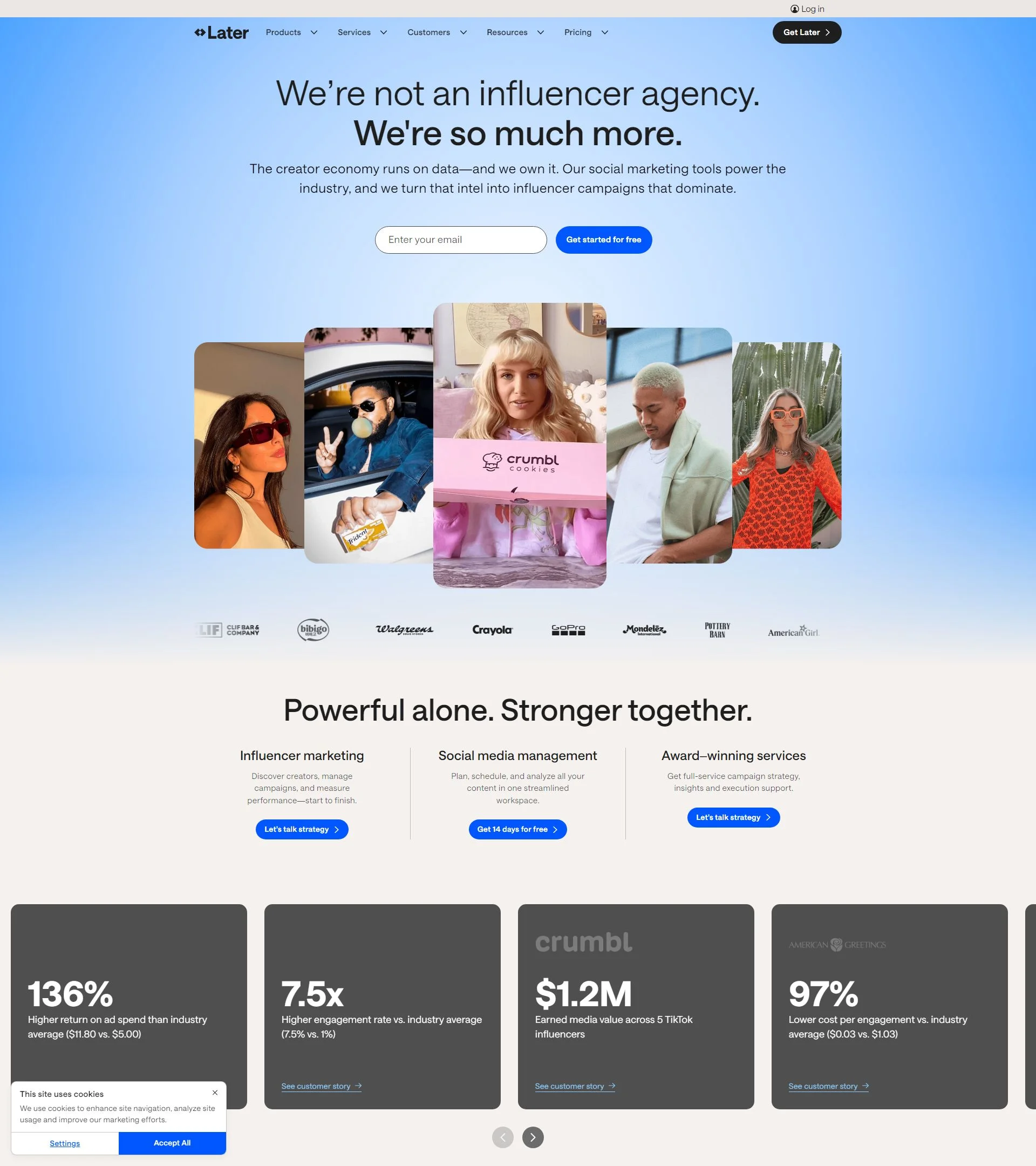 Website screenshot 37