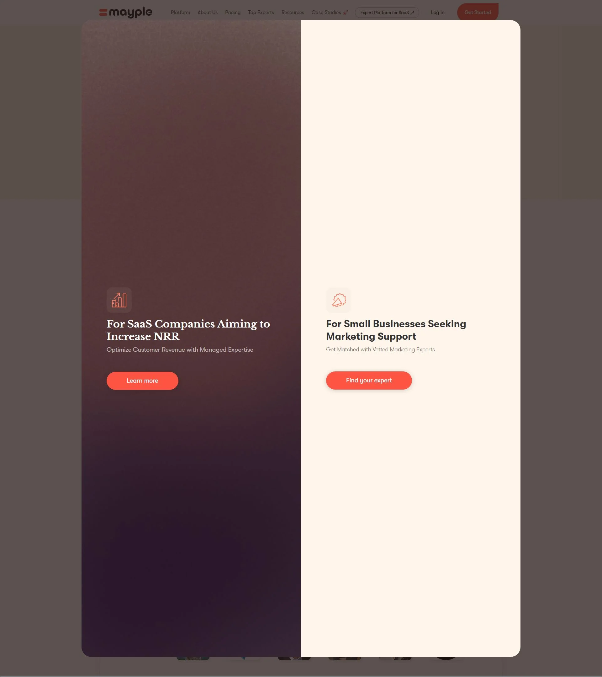 mayple.com background