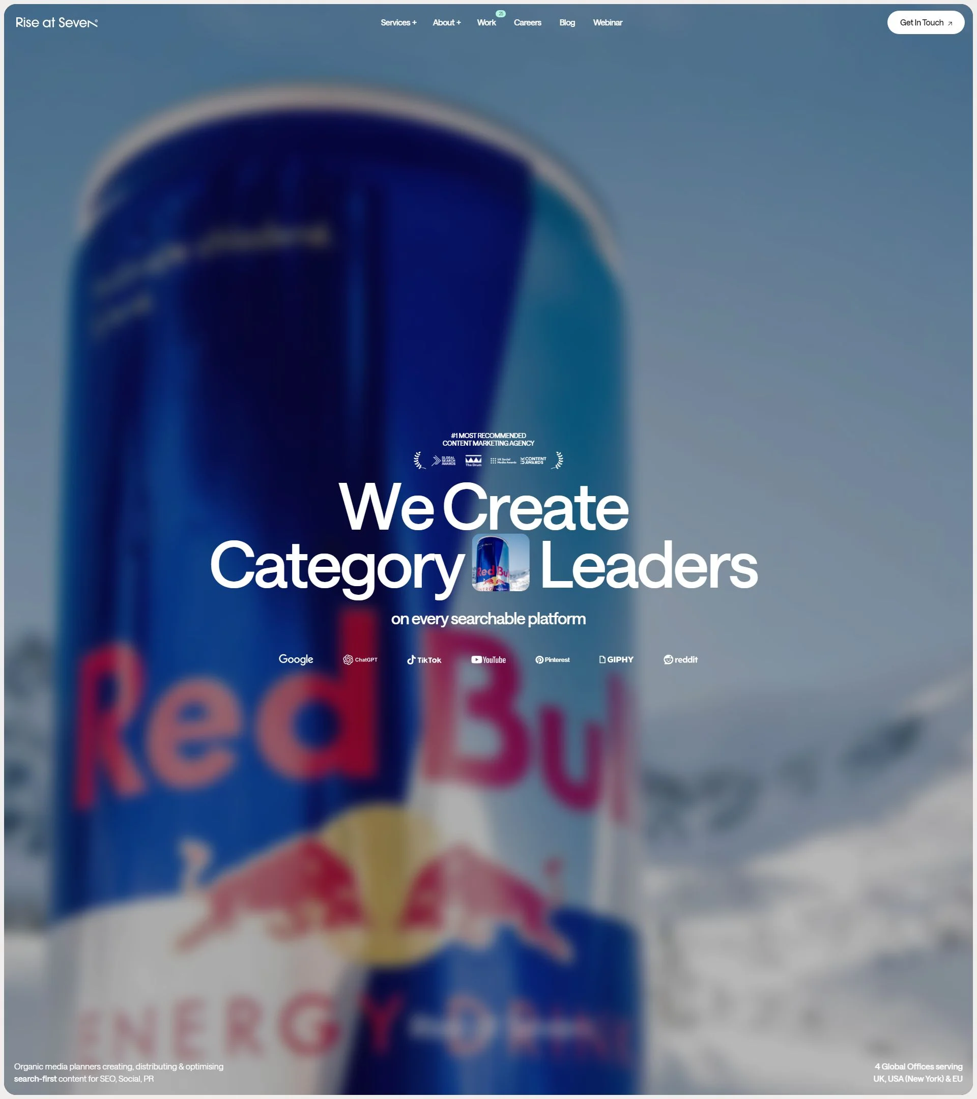 Website screenshot 34